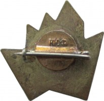 Нагрудный знак Пионерфак КГПИ 