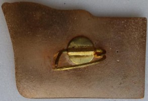 Нагрудный знак ЭМ Напористый 1974 