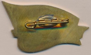Нагрудный знак ЭМ 