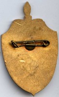 Нагрудный знак ПСКР Амур 