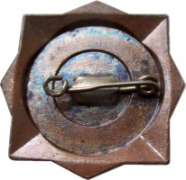 Нагрудный знак Чемпионат  Динамо 3 Место 