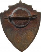 Нагрудный знак Общественный Инспектор, ДСО 