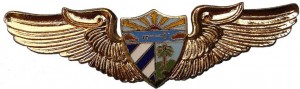 Нагрудный знак Пилот 