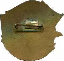 Нагрудный знак Противолодочный Крейсер Ленинград. За Переход Экватора. 1974 