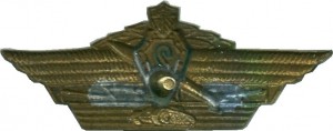 Нагрудный знак Классность Офицерская 2 класс 