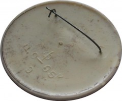 Badge  