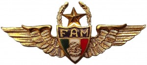 Нагрудный знак Пилот, 3000 часов 