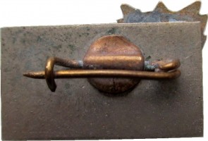 Badge  