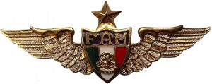 Нагрудный знак Пилот, 1500 часов 