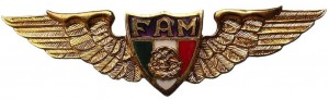 Нагрудный знак Пилот 