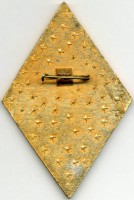 Нагрудный знак Новосибирский комсомолец КСФ 