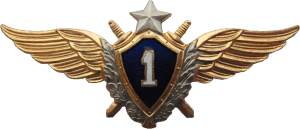 Badge Pilot 1st class 