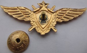 Badge Pilot 1st class 