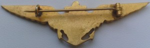 Badge Navy pilot 