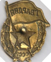 Нагрудный знак Гвардия 
