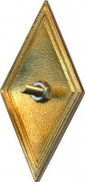 Нагрудный знак Медицинский Факультет, Санкт-Петербургского государственного университета 