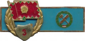 Нагрудный знак Классность 3 класс 