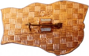 Нагрудный знак Юбилей Октябрьской революции. 1917 