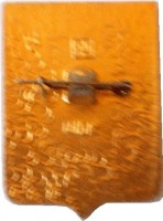 Нагрудный знак Жиздра 