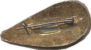 Нагрудный знак Союз 20 