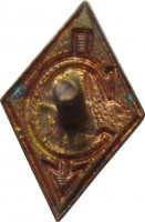 Нагрудный знак ДСО 