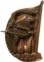 Нагрудный знак ВСХВ 