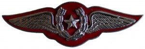 Badge Pilot 