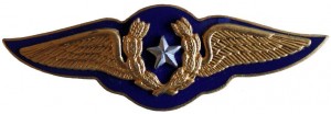 Badge Pilot 