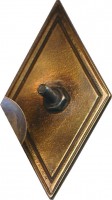 Нагрудный знак 20 лет выпуска ВПУ МВД СССР. 1985-2005 