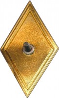 Нагрудный знак Академия МЧС 