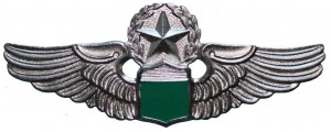 Нагрудный знак Мастер Пилот 