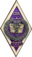 Нагрудный знак Международный институт экономики и права. Санкт-Петербург 
