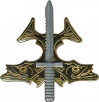 Нагрудный знак Квалифицированного ныряльщика наступательного вмешательства, (EPAT) 