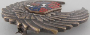 Нагрудный знак Наболюдатель 