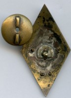 Нагрудный знак ТПИ 1957 