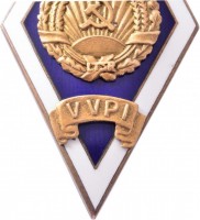 Нагрудный знак Вильнюсский Педагогический Институт (VVPI) 