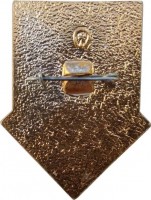 Нагрудный знак 60 Лет Советская Пионерия. Спорт. 1922-1982 