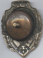 Badge Excellent scout 