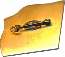 Badge  