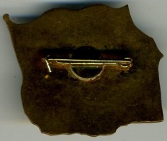 Нагрудный знак Стремительный XX лет 