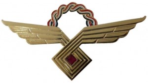 Нагрудный знак Заслуженный пилот 
