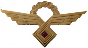 Нагрудный знак Летчик 