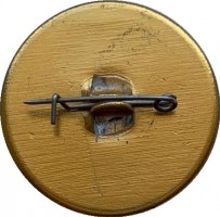 Нагрудный знак Дзержинский 
