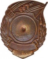 Нагрудный знак Чемпион ДСО 