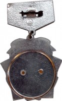 Нагрудный знак Пятидесятилетие Союза ССР 1922 1972 