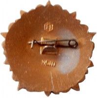 Badge  