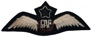 Нагрудный знак Летчик 