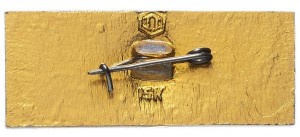 Нагрудный знак Кострома 