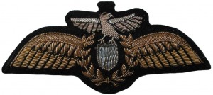 Нагрудный знак Пилот 
