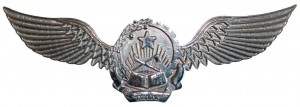 Badge Pilot 